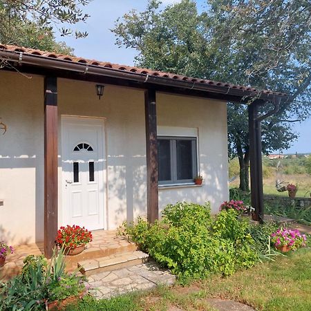 Apartment Marijana Murine Εξωτερικό φωτογραφία