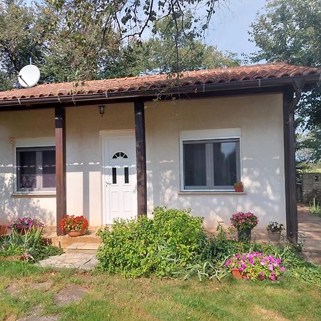 Apartment Marijana Murine Εξωτερικό φωτογραφία