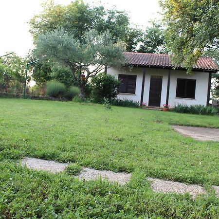 Apartment Marijana Murine Εξωτερικό φωτογραφία