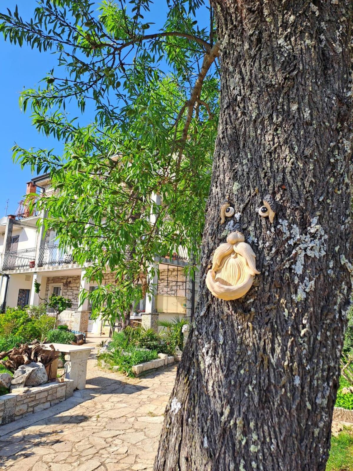 Apartment Marijana Murine Εξωτερικό φωτογραφία