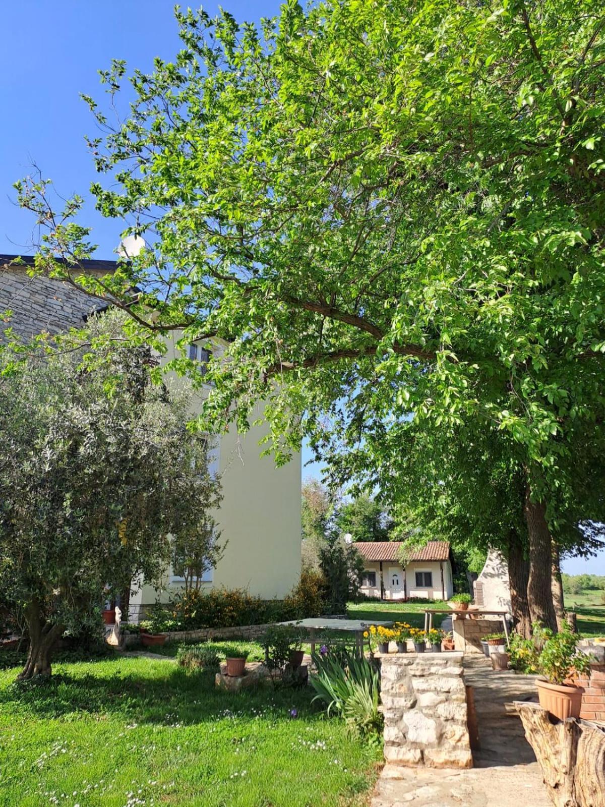 Apartment Marijana Murine Εξωτερικό φωτογραφία