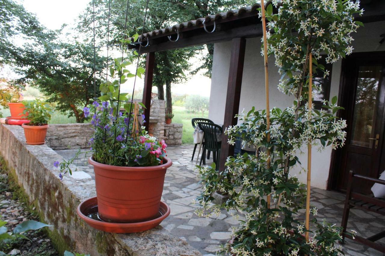 Apartment Marijana Murine Εξωτερικό φωτογραφία