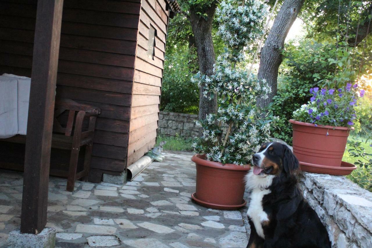 Apartment Marijana Murine Εξωτερικό φωτογραφία